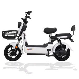 Price Electric Scooter with Pedals 48V 20AH Electric City Bike
