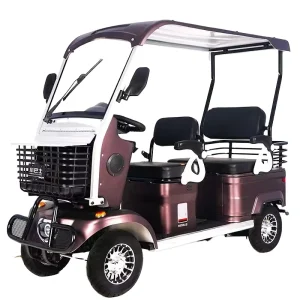 QIFAN Electric Mobility Scooter With Quiet Operation Beach Transport Electric Shuttle Bus