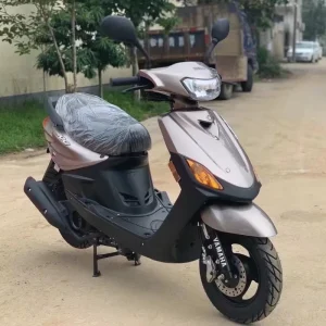 Qige Scooter Model 100cc Gasoline powered Street Bike with >80km h Max Speed for Urban Commute Made in China