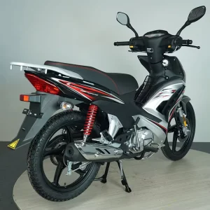Ready Stock Adult Petrol Bike 2 Wheel Gas Scooter