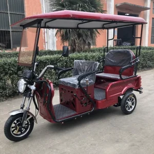 Robust and Easy to Use Elderly Adults Seat Family Use Scooter for People Rear Axle Tricycle Motorcycle