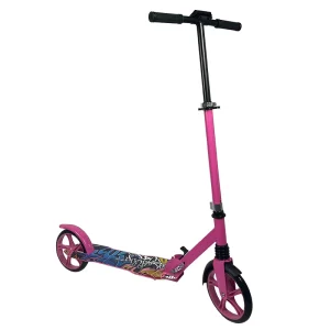 Scooter 2 Wheels Max Load 100kgs Kick Scooter With Front Wheel Mudguard