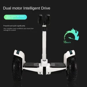 Self-balancing Electric Two-Wheeled Scooter for Children Adults Smart Brushless Motor 100kg Load Capacity Foldable