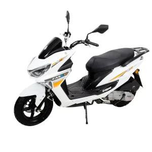 Sell Racing Gas Scooters for Adults Factory Price Comfortable and Lightweight Gasoline Scooter for Travel