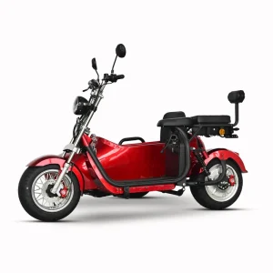 Sidecar Electric Fat Tire Three-wheel Scooter Chopper 3000W GPS Foldable Waterproof Lithium Battery Citycoco Motorized