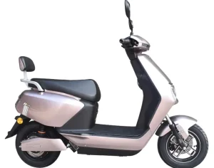 Smart Other Scooters Voice Control El Scooter 800W 1000W Self balancing Electric Scooters