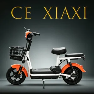 This Electric Scooter Features CE certified Ready to Sell in Nearly All Global Markets