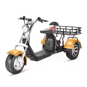 Three Wheel Electric Bike Tricycle Three-wheeled Motorcycle Elderly Leisure Electric Tricycle 3000w Citycoco