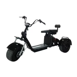 Three Wheel Electric Scooter Citycoco Electric Moped 2000W with 20mph Range