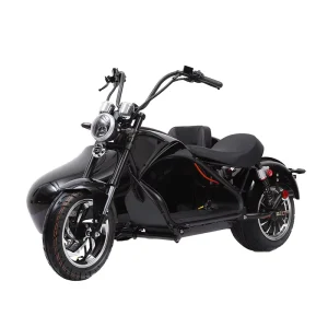 Three Wheel Electric Scooter with Sidecar GPS Foldable Waterproof Lithium Battery 60-100km Range