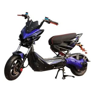 Top Selling Fat Tire Electric Scooter Motorcycle with Lithium Battery