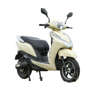 Top Selling Modern Electric Gas Scooter for Teenagers