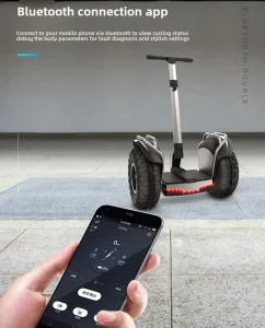 Two Wheel Self Balance Stand Up Electric Scooter