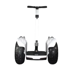 Two Wheels Self Balancing Electric Scooter with Handle and App Remote