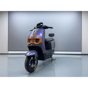 Urban or Rural Popular Style Various Types of Fashion Customization Electric Scooters with Removable Battery Touring Motorcycles