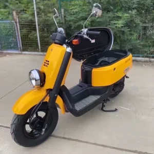 VOX50 Second Hand High Performance Direct Factory 4 Stroke 3 Valve Fuel Injection Gasoline Powered 50cc Motorcycle