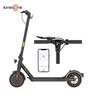 Waterproof IP54 250W Motor 12Ah Rear Disc Brake Adult Folding Design Scooter Electric Speed 25km h E Scooter